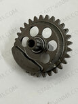 PUMP GEAR - 17610491B