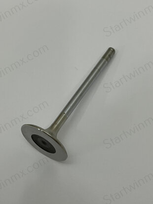EXHAUST VALVE  - 21111291A
